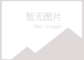 湖北白山化学有限公司